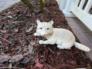 Cast-Stone-Garden-Raccoon-Statue