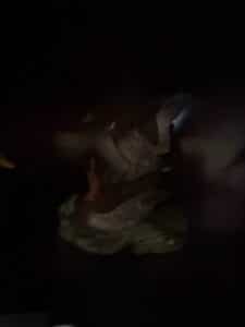 Goebel-Hummel-Duck-Pond-Figurine