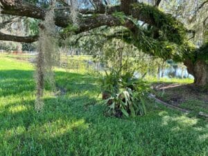 IMG_5034-Large