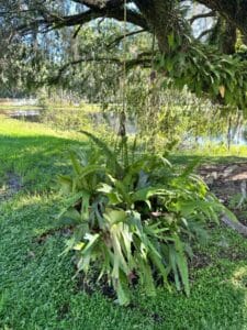IMG_5035-Large