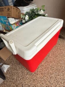 Igloo-Legend-Quart-Cooler