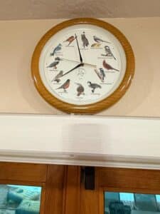 National-Audubon-Society-Singing-Bird-Wall-Clock