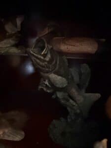 SPI-Gallery-Largemouth-Bass-Bronze-Statue