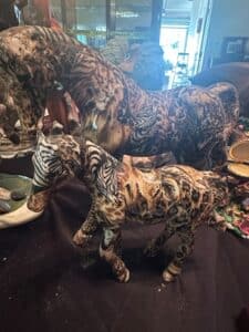 Vintage-La-Vie-Safari-Patchwork-Horse-Figurines