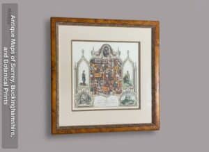 Antique-Maps-of-Surrey-Buckinghamshire-and-Botanical-Prints