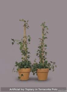 Artificial-Ivy-Topiary-in-Terracotta-Pots