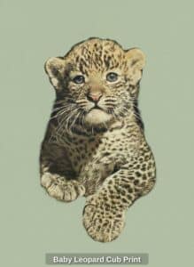 Baby-Leopard-Cub-Print-2