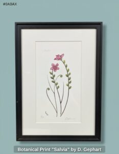 Botanical-Print-Salvia-by-D.-Gephart-second-image