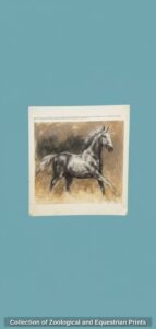 Collection-of-Zoological-and-Equestrian-Prints-second-image
