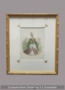 Costume-Print-Tulipe-by-J.J.-Grandville