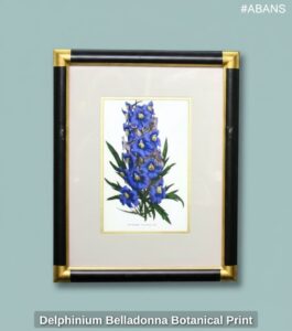 Delphinium-Belladonna-Botanical-Print-second-image