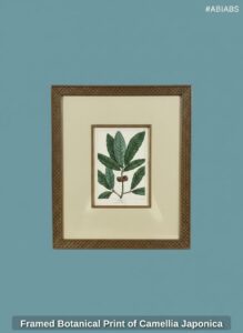 Framed-Botanical-Print-of-Camellia-Japonica-second-image