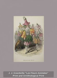J.-J.-Grandville-Les-Fleurs-Animes-Print-and-Ornithological-Print-third-image