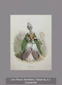 Les-Fleurs-Animes-Tulipe-by-J.J.-Grandville