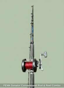 PENN-Senator-Conventional-Rod-Reel-Combo-2