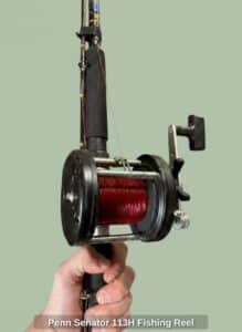 Penn-Senator-H-Fishing-Reel-2