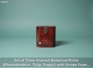 Set-of-Three-Framed-Botanical-Prints-Rhododendron-Tulip-Poppy-with-Ornate-Frames-and-Octagonal-Box-second-image