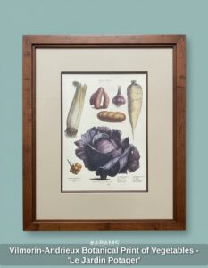 Vilmorin-Andrieux-Botanical-Print-of-Vegetables-Le-Jardin-Potager-second-image
