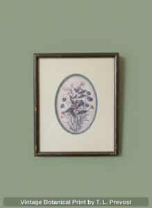 Vintage-Botanical-Print-by-T.-L.-Prevost