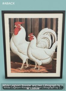 White-Leghorn-Rooster-and-Hen-Lithograph-by-J.-W.-Ludlow-second-image