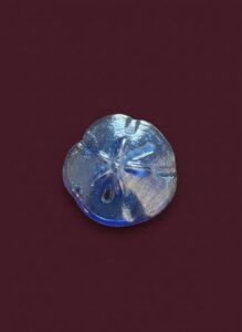 Blown-Glass-Sand-Dollar-Paperweight-Blue-Iridescent