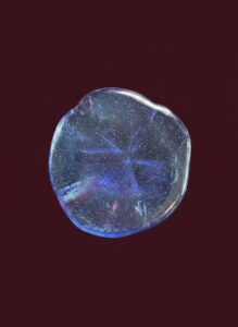 Blown-Glass-Sand-Dollar-Paperweight-Blue-Iridescent-second-image