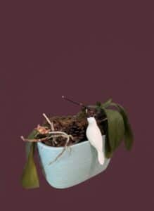 Decorative-Orchid-Pot-with-Ceramic-Bird