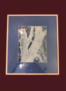 Framed-Cyanotype-Print-of-Tree-Bark