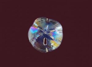 Iridescent-Glass-Sand-Dollar-Paperweight