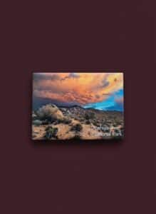 Joshua-Tree-National-Park-Magnet