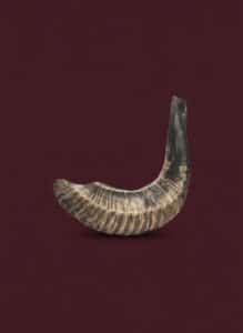 Kudu-Shofar-with-Instruction-Booklet-and-Pouch