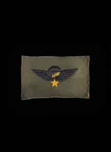 ARVN-Senior-Parachutist-Badge-Subdued