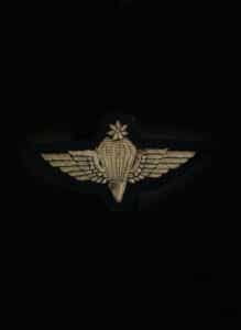 British-Army-Parachute-Regiment-Bullion-Qualification-Badge