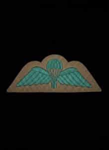 British-Army-Parachute-Regiment-Qualification-Wings-No-Dress