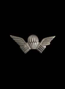 Foreign-Jump-Wings-Badge-Multiple-Countries