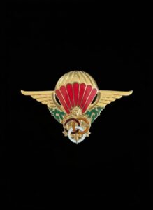 French-Military-Paratrooper-Badge-Insigne-de-Parachutiste-Instructor-Variant