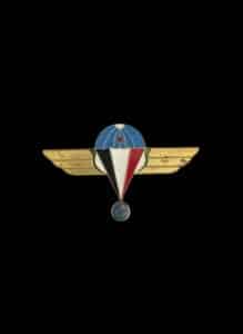 French-second-Marine-Infantry-Parachute-Regiment-Badge