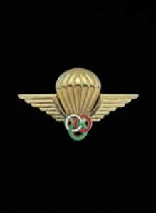 Italian-Army-Officer-Parachute-Airborne-Badge