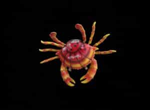 Norfolk-Crab-Souvenir-Magnet