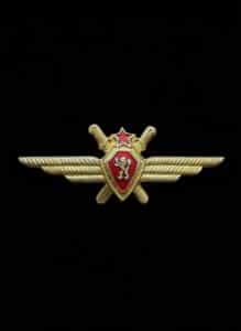 Soviet-Air-Force-Pilot-Wings-Badge