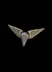 US-Army-Parachutist-Badge-Jump-Wings-Foreign-Issue