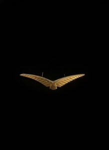 Vintage-Gold-Seagull-Brooch