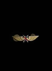 Vintage-Pan-American-World-Airways-Pilot-Wings-Pin