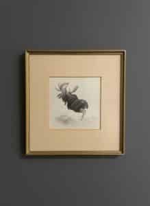 M.H.-Lustra-Moose-Wildlife-Print