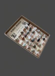 Vintage-Educational-Mineral-Specimens-Collection-and-Flower-Press-Kit