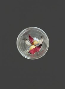 Vintage-Moth-and-Butterfly-Specimens-in-Jar