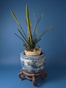 Large-Blue-and-White-Porcelain-Jardiniere-with-Carved-Wooden-Stand-second-image
