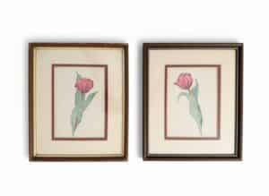Pair-of-Vintage-Botanical-Tulip-Watercolor-Prints-by-W.-Robins-second-image