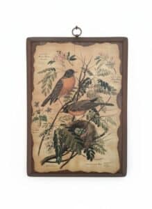 Vintage-Arthur-Singer-Bird-and-Botanical-Wood-Wall-Plaques