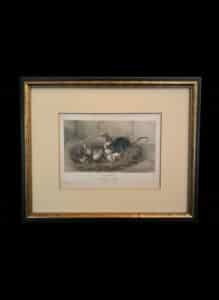 Antique-Natural-History-Engraving-Black-Rat-Old-Young-3